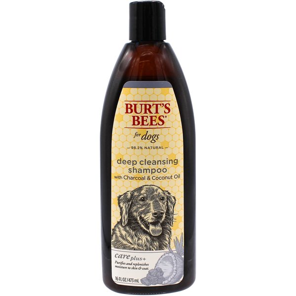 BURT'S BEES Care Plus+ Hydrating Coconut Oil Dog Shampoo, 16oz bottle
