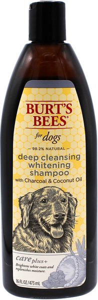 psykologisk dukke Mount Vesuv BURT'S BEES Care Plus+ Charcoal & Coconut Oil Deep Cleansing Whitening Dog  Shampoo, 16-oz bottle - Chewy.com
