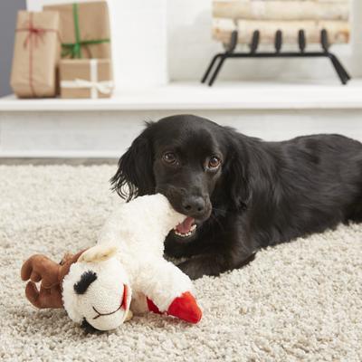 Show full view: Multipet Antler Lamb Chop Dog Toy, Medium slide 2 of 6