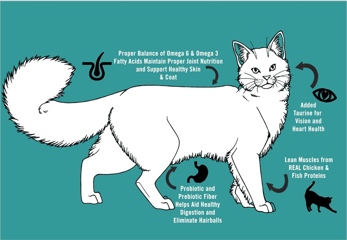 CHICKEN SOUP FOR THE SOUL Adult Chicken & Brown Rice Recipe Dry Cat Food, 4.5lb bag