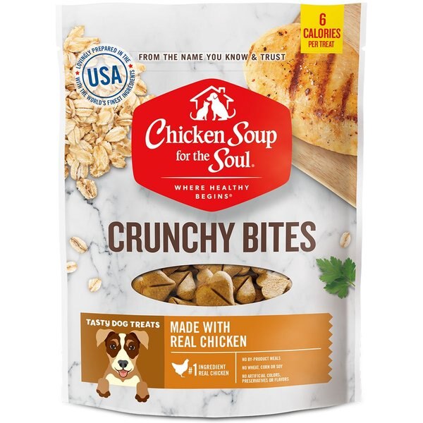 NUTRO Crunchy with Real Apple Dog Treats, 10oz bag
