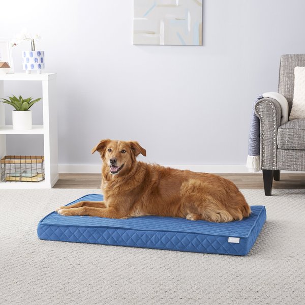 Frisco Quilted Orthopedic Pillow Cat & Dog Bed w/Removable Cover, Blue, X-Large slide 1 of 6