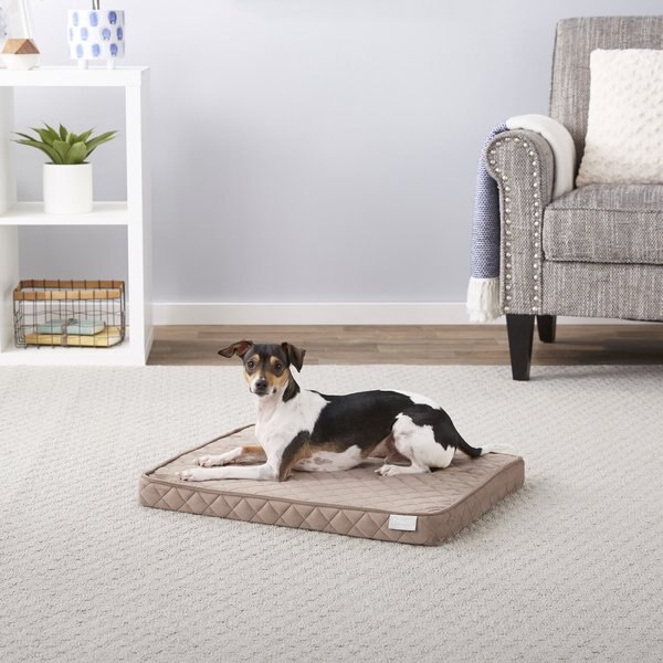 FURHAVEN Plush Ball Pillow Dog Bed with Removable Cover, Shell, Medium