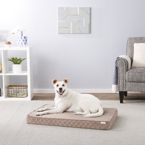 Frisco Quilted Orthopedic Pillow Cat & Dog Bed w/Removable Cover, Beige, Large slide 1 of 6