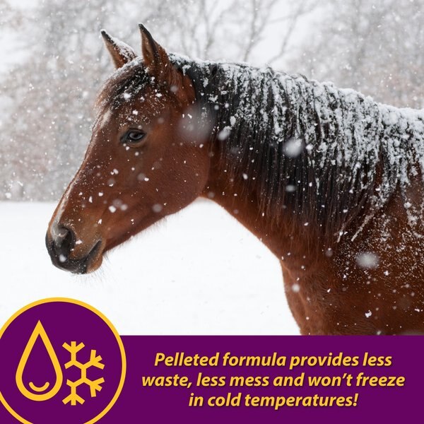 Horse Health Products Red Cell Pellets Horse Supplement, 64-day supply