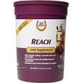 Horse Health Products Reach Joint Hay Flavor Pellets Horse Supplement, 2.81-lb bucket