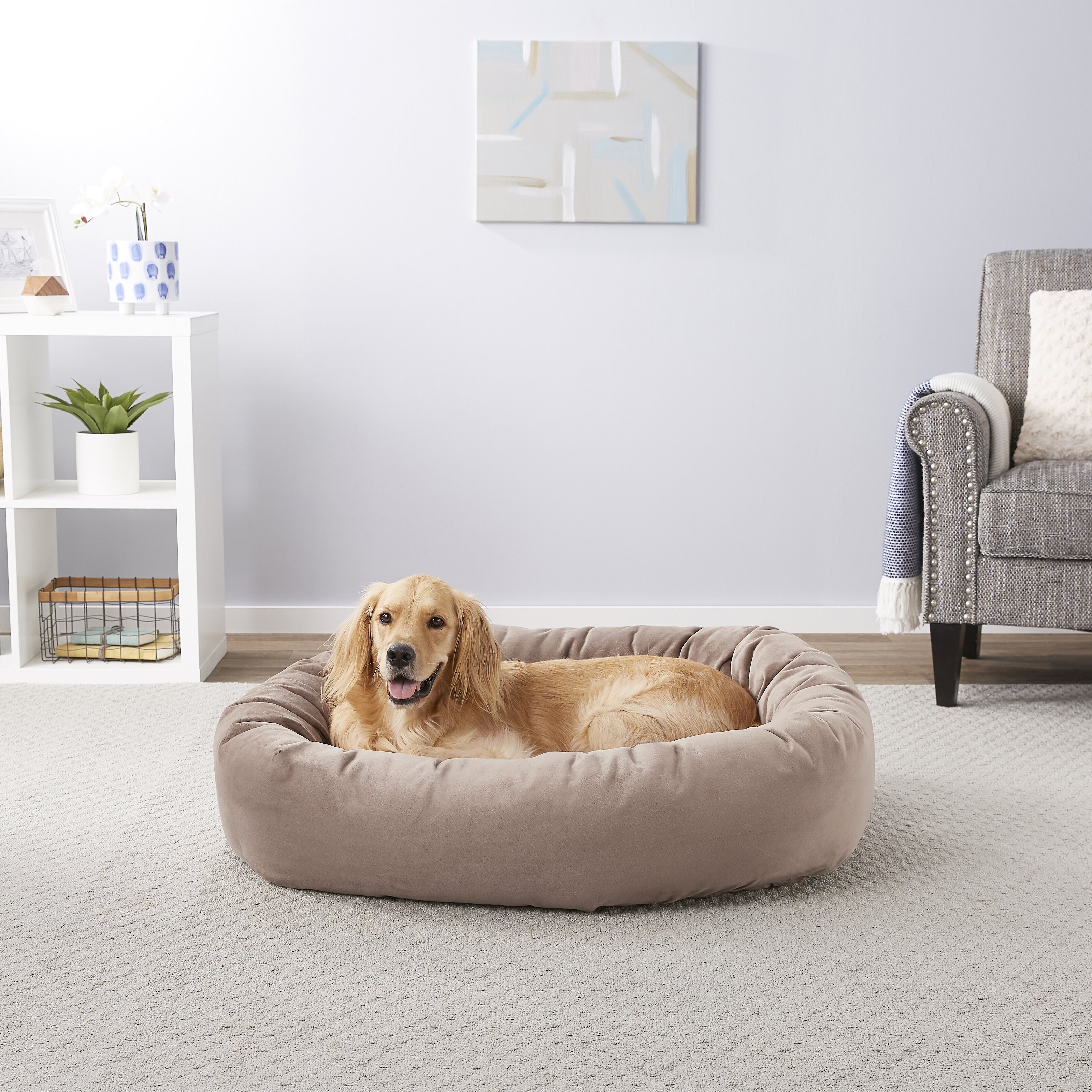 Questions and Answers about FRISCO Velvet Round Bolster Dog Bed w