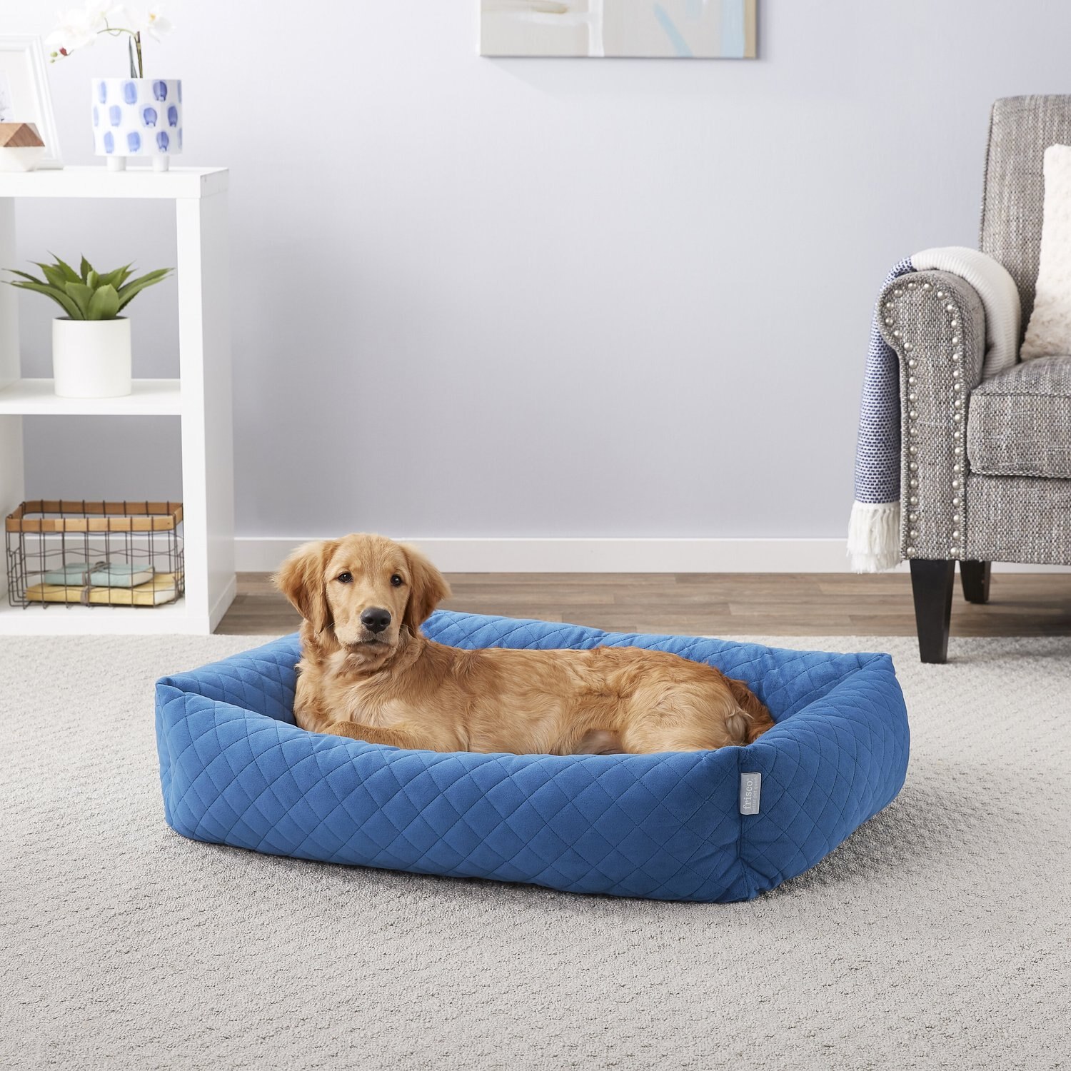 FRISCO Velvet Rectangular Bolster Cat & Dog Bed, Blue, Large - Chewy.com