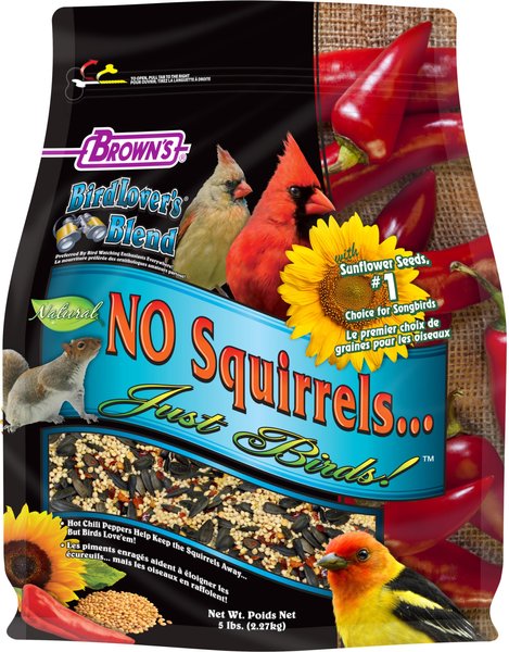 Chewy bird outlet seed