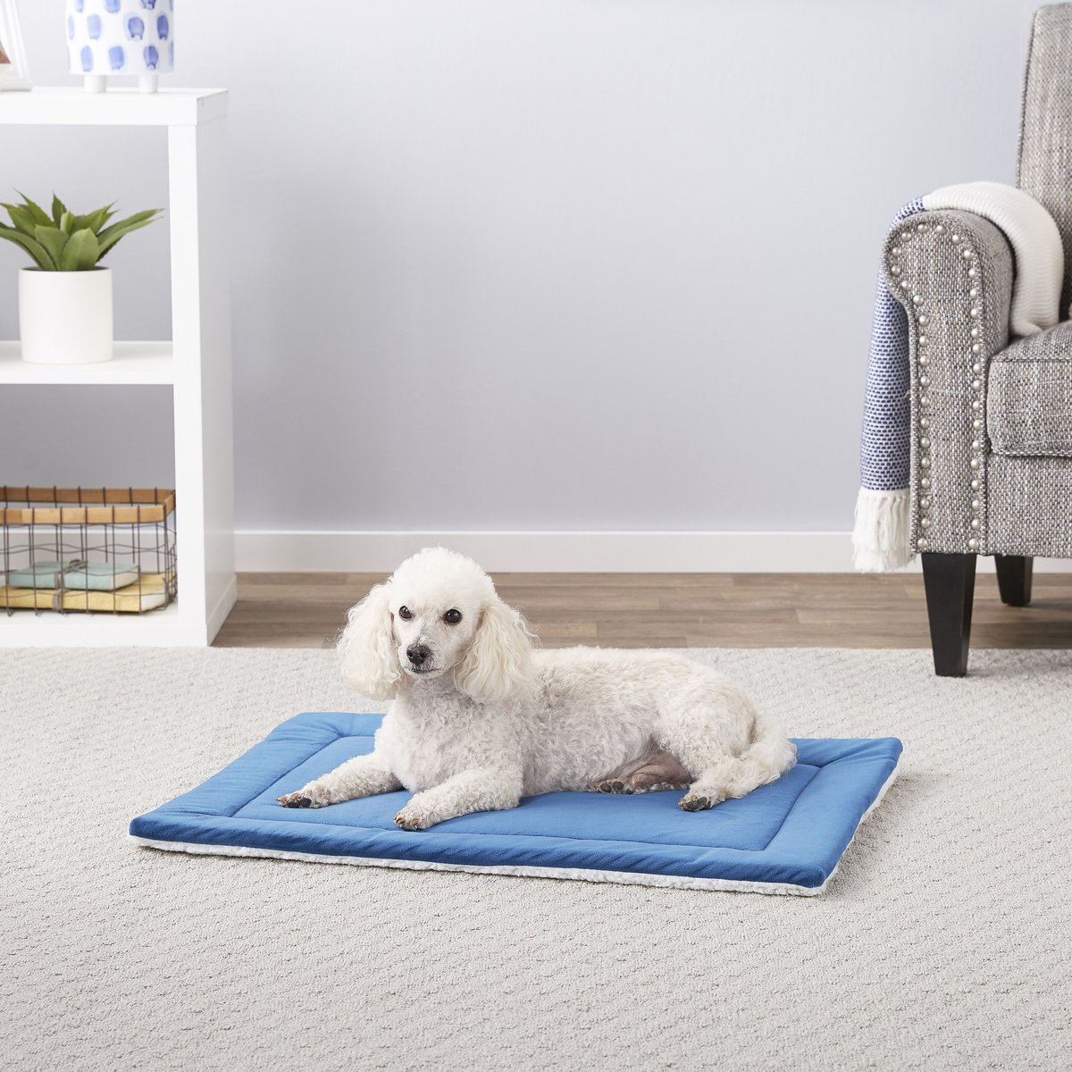Frisco Self-Warming Reversible Cat & Dog Mat
