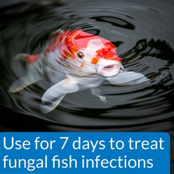 API Pond Pimafix Antifungal Pond Fish Infection Remedy, 64-oz bottle slide 2 of 6