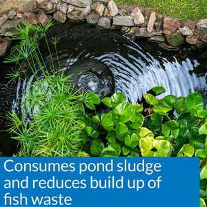 API Pond Simply Clear Pond Water Clarifier, 32-oz bottle