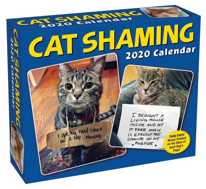 Cat Shaming 2020 Desk Calendar - Chewy.com