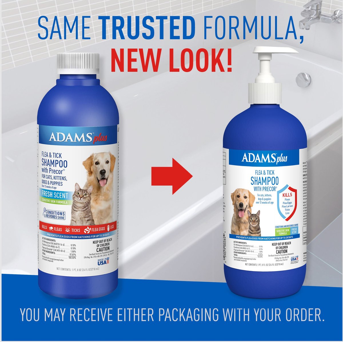 Adams dog flea shampoo sale