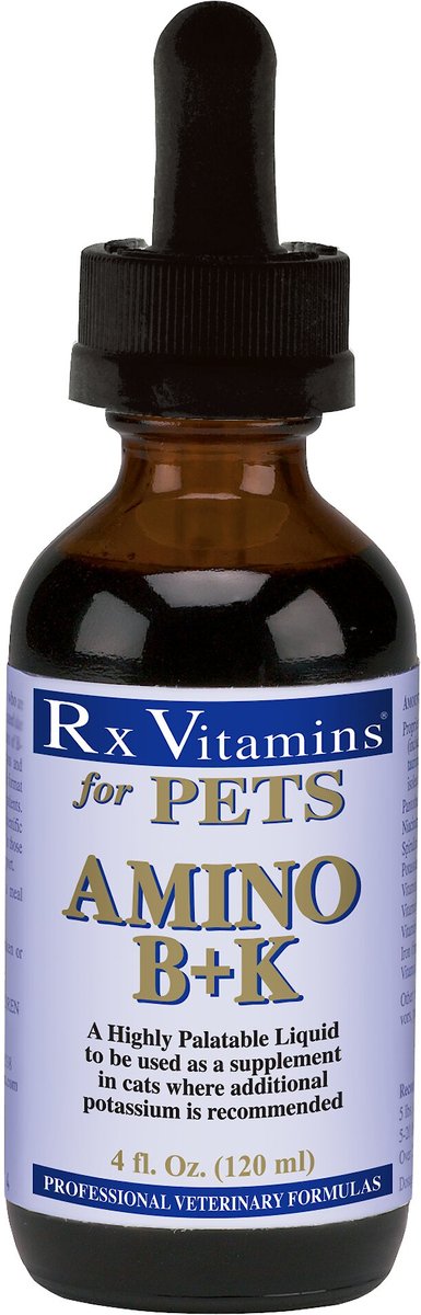 B vitamins for 2025 cats with kidney disease