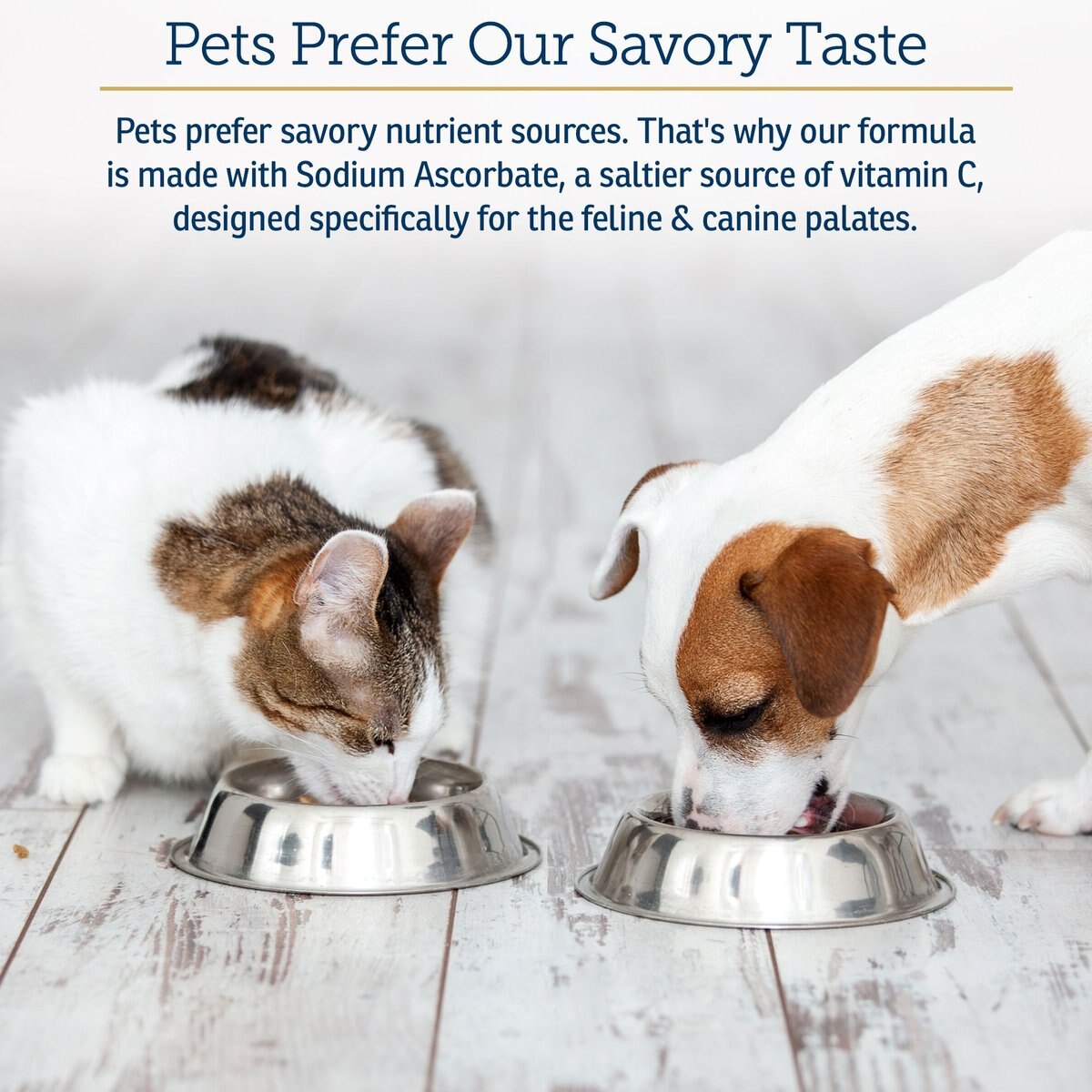 RX VITAMINS BioC Powder Immune Supplement for Cats & Dogs, 4oz bottle