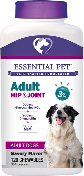 21st Century Essential Pet Hip & Joint Chewable Tablets Adult Dog Supplement, Age 3 & Up, 120 count slide 1 of 3