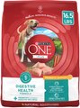 Purina ONE +Plus Adult Digestive Health Formula Dry Dog Food, 16.5-lb bag