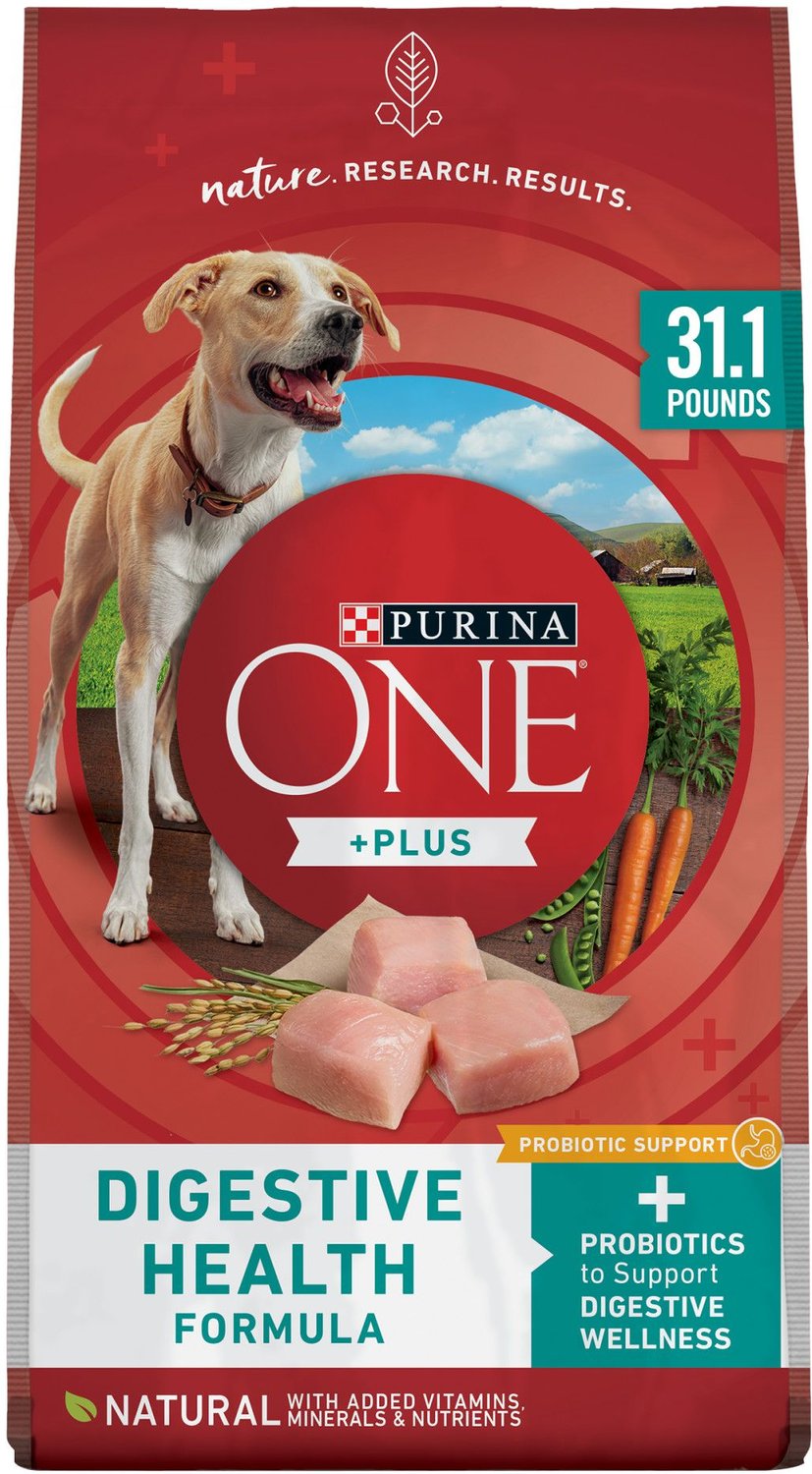 is purina one bad dog food