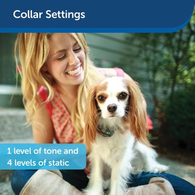 Show full view: PetSafe Little Dog In-Ground Fence slide 5 of 8