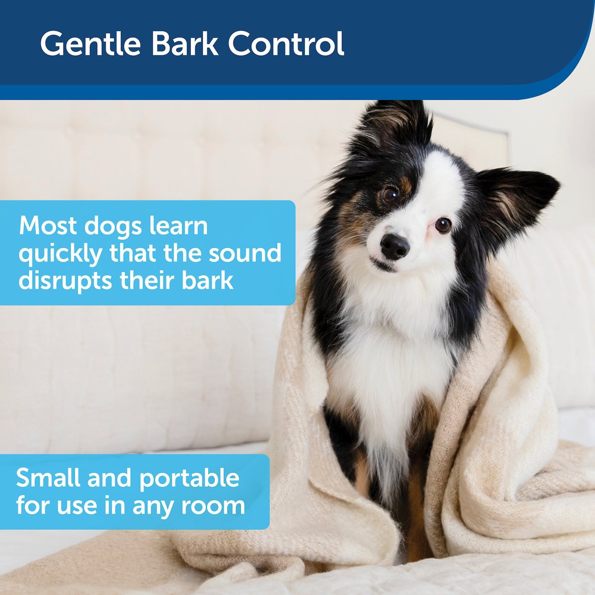 Indoor sales bark control