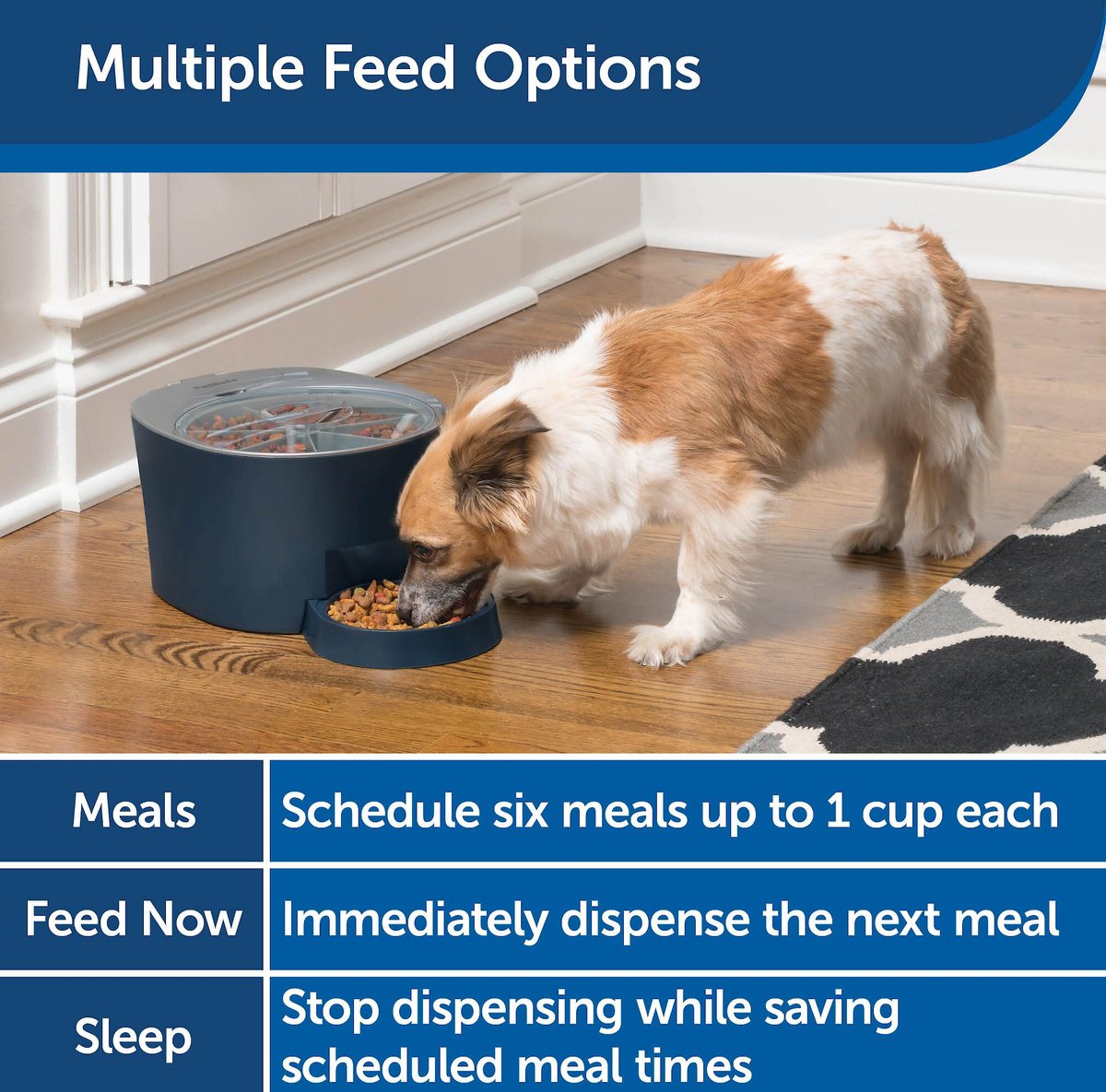 PETSAFE 6-Meal Automatic Dog & Cat Feeder, Blue - Chewy.com