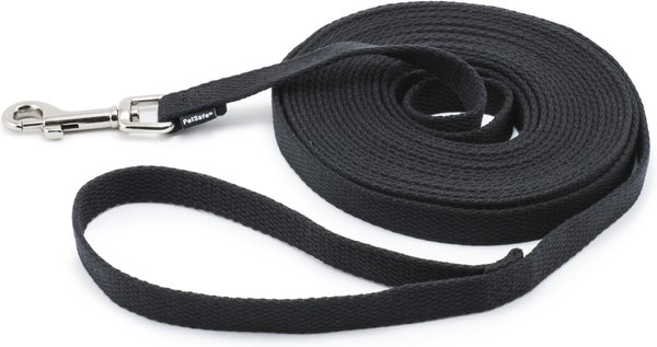 Nylon Dog Leash Pet Training Leads 1/2" & 5/8" many Colors & Lengths Made in USA 