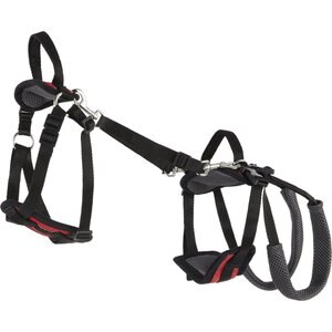 PetSafe CareLift Handicapped Support Dog Harness, Small