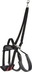 PetSafe CareLift Rear Handicapped Support Dog Harness, Small