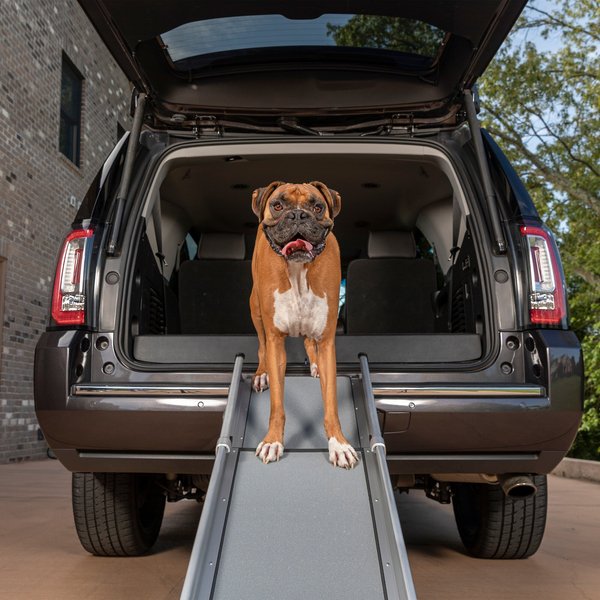 PETSAFE Happy Ride Telescoping Dog Car Ramp, X-Large - Chewy.com