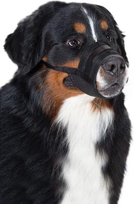 Show full view: PetSafe Dog Muzzle, Black, X-Large slide 2 of 5