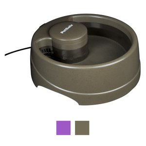 PetSafe Current Circulating Pet Fountain, Forest, Small