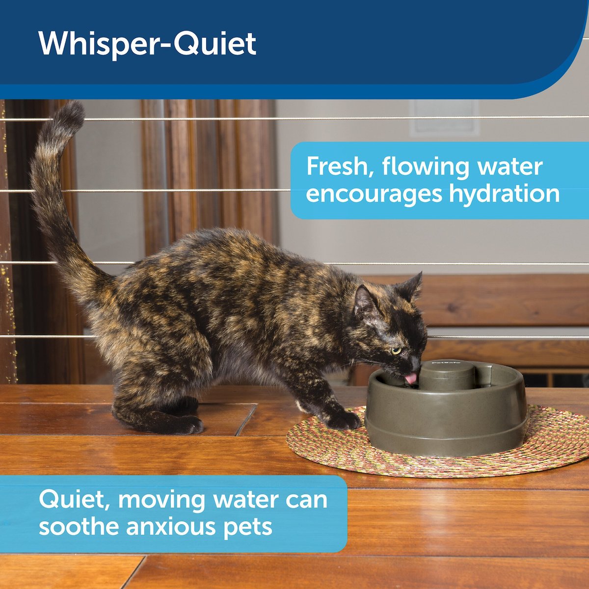 Petsafe current 2025 circulating pet fountain