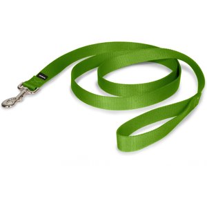PetSafe Nylon Dog Leash, Apple Green, 6-ft long, 1-in wide