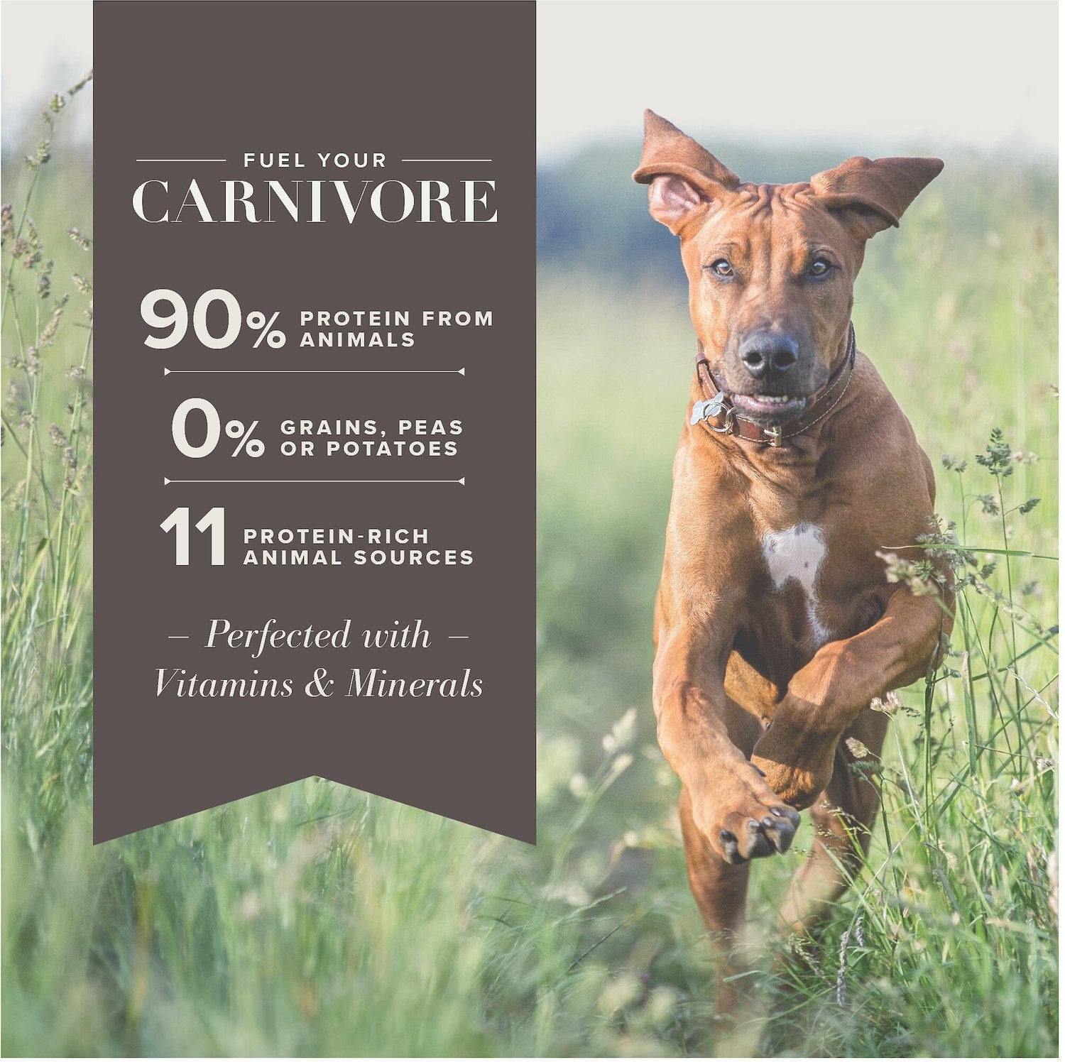 blue buffalo carnivora grain free prairie blend adult dog food