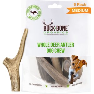 Whitetail Deer Antler Dog Chew, Medium, 8 Inches to 13 Inches Long,  Natural, Healthy Long-Lasting Treat. for Medium to Large Size Dogs and  Puppies.