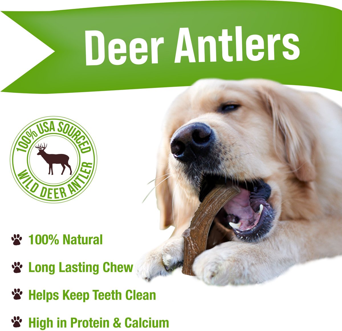 Buck Bone Organics Premium Whole Deer Antler Dog Chew, 1 count