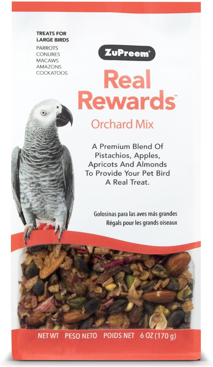 Conure treats outlet