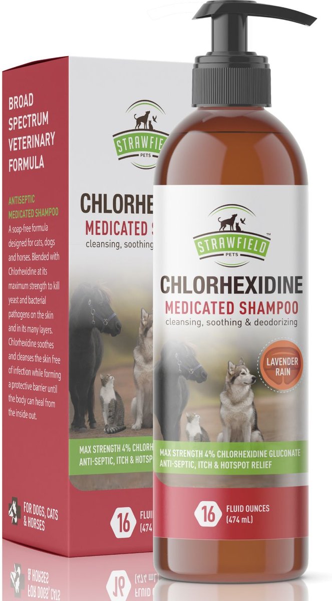 STRAWFIELD PETS Chlorhexidine Medicated Dog, Cat & Horse Shampoo, 16oz