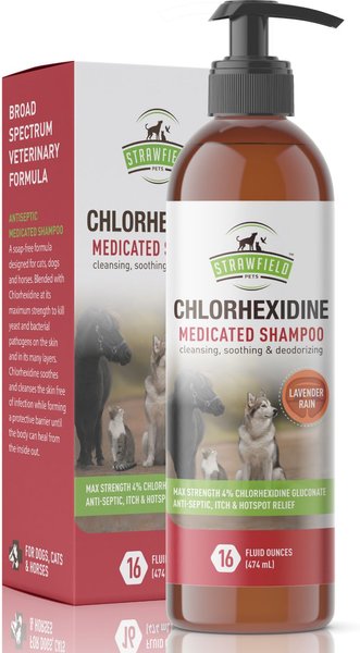 Strawfield Pets Chlorhexidine Medicated Dog, Cat & Horse Shampoo, 16-oz bottle slide 1 of 4