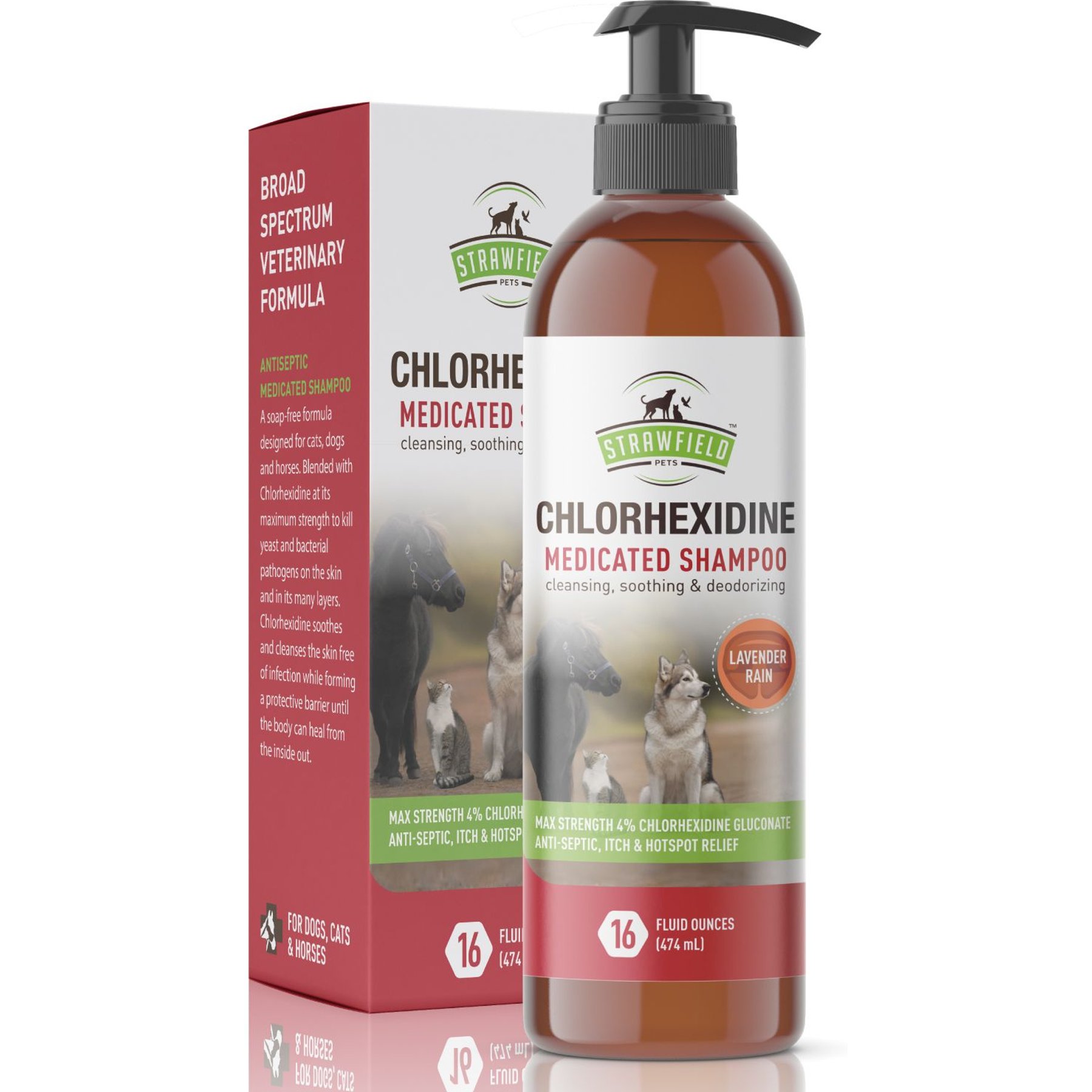 Medicated dog hot sale shampoo chlorhexidine