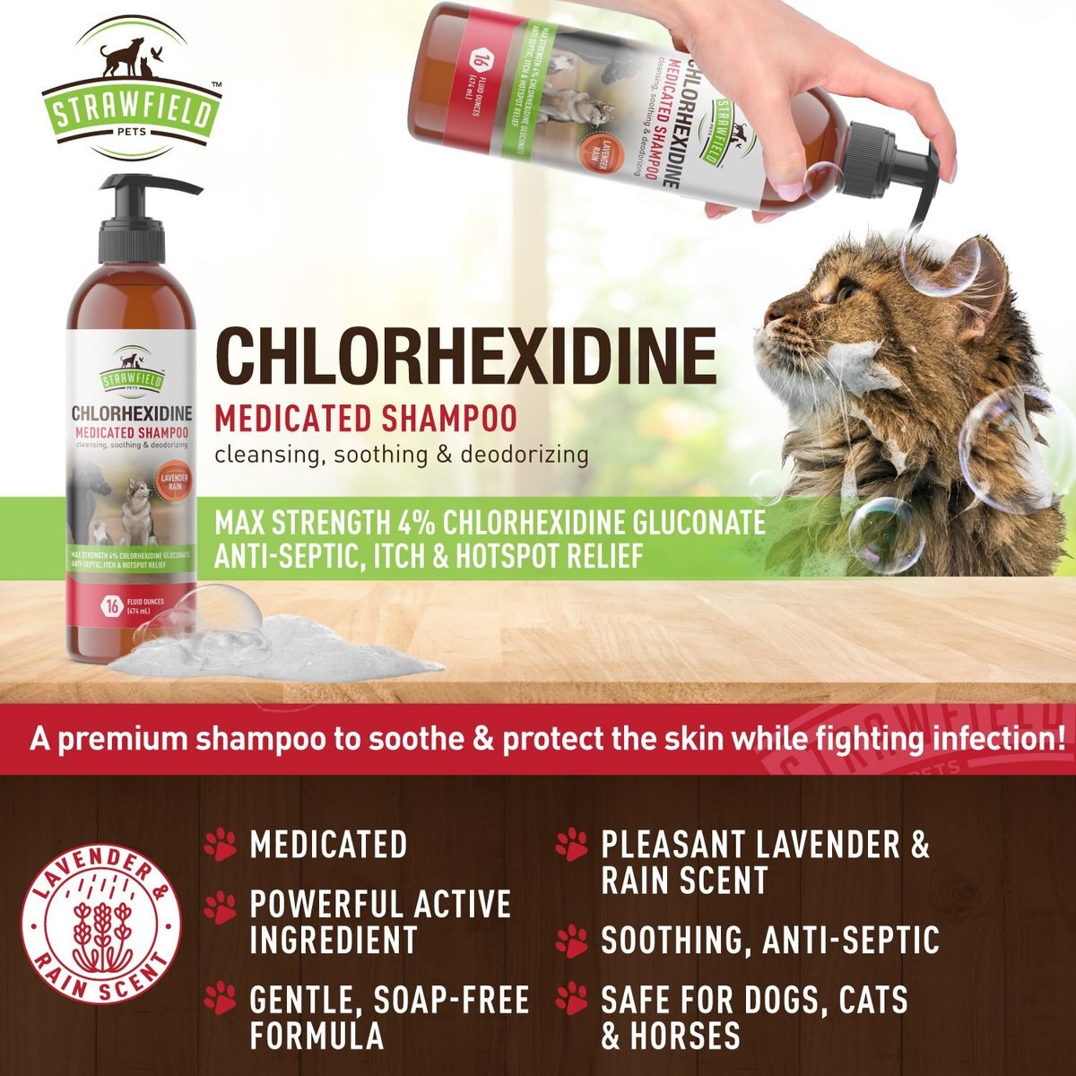 STRAWFIELD PETS Chlorhexidine Medicated Dog, Cat & Horse Shampoo, 16oz