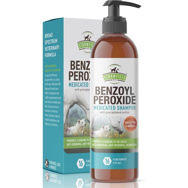 STRAWFIELD PETS Benzoyl Peroxide Medicated Dog & Cat Shampoo, 16oz