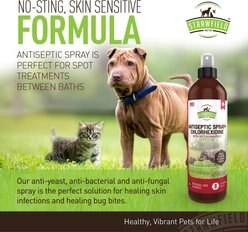 Strawfield Pets Antiseptic + Chlorhexidine Spray for Dogs, Cats & Horses, 8-oz slide 2 of 4