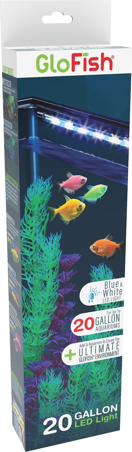 GLOFISH LED White & Blue Light Stick, 10-in, 2 count - Chewy.com