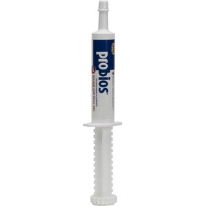Probios Equine One Oral Gel Probiotic Digestive Horse Supplement, 1.05-oz, 30-g syringe