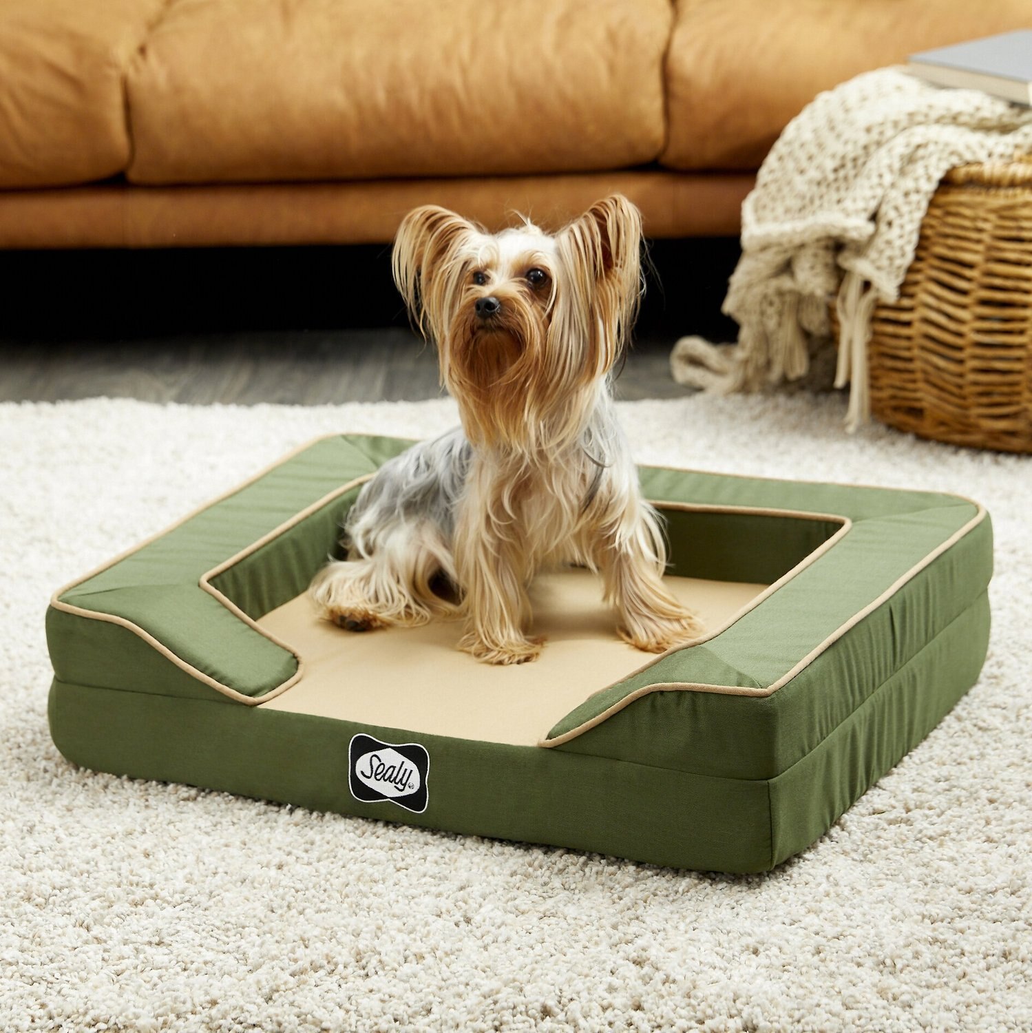 Sealy Lux Premium Orthopedic Bolster Dog Bed