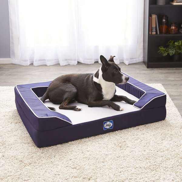 Discontinued SEALY Lux Premium Orthopedic Bolster Dog Bed w/Removable