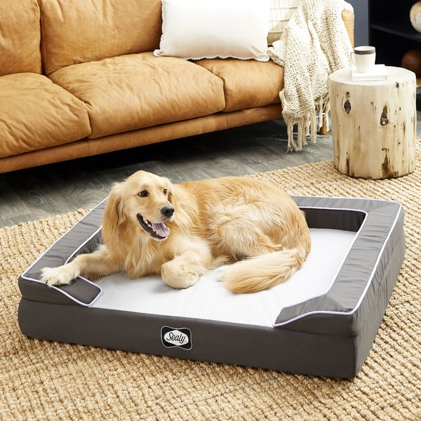 Sealy lux premium dog bed hotsell