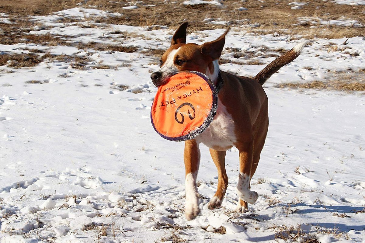 Hyper 2024 pet frisbee